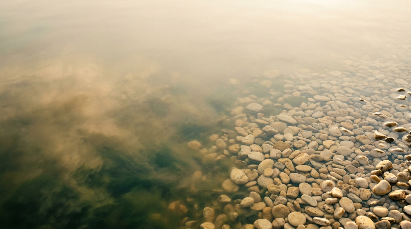 Clarity